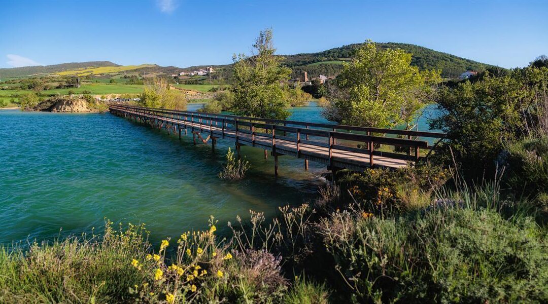 Zone d&rsquo;accueil de la Baie de Lerate (réservoir d&rsquo;Alloz)