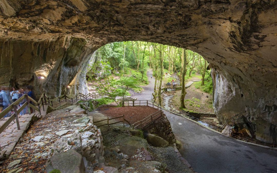 Zugarramurdiko harrera gunea