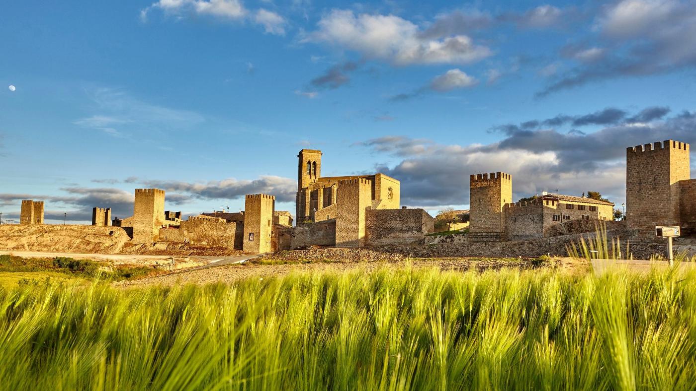 VisitNavarra_Planes_Olite-EncuentrosconlahistoriadeArtajona1