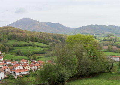 Amaiurko harrera-eremua