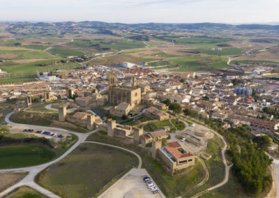 Artaxoako harrera-eremua