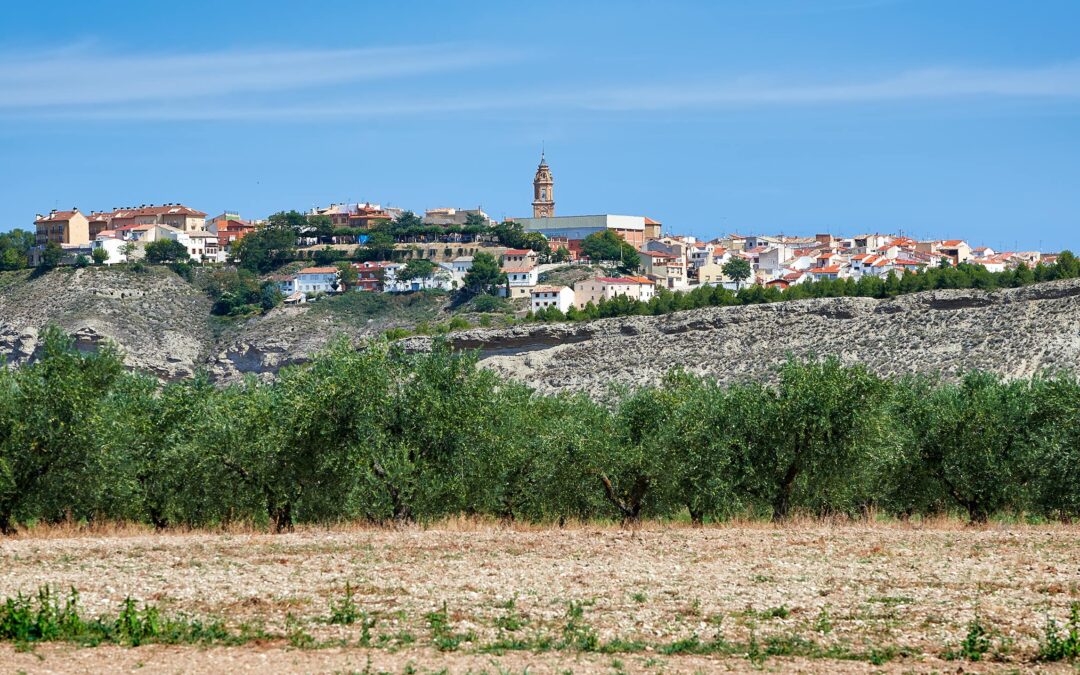 Reception area of Lerin