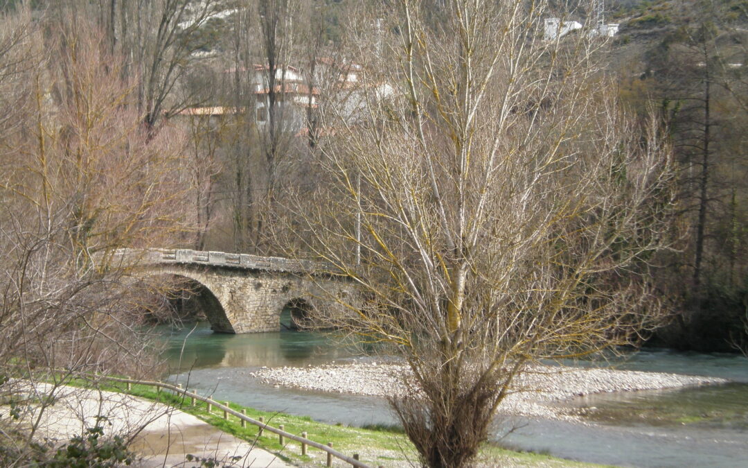 Aire d&rsquo;accueil de Irotz