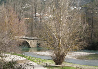 Irotzeko harrera-eremua