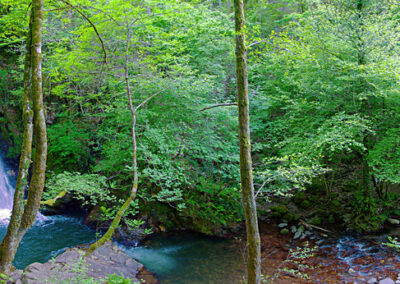 Xorroxineko harrera-eremua